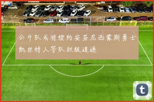 公牛队或将续约安芬尼西蒙斯勇士凯尔特人等队积极追逐