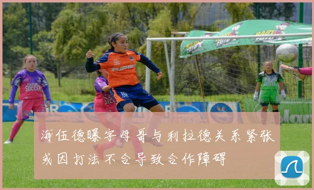 海伍德曝字母哥与利拉德关系紧张或因打法不合导致合作障碍